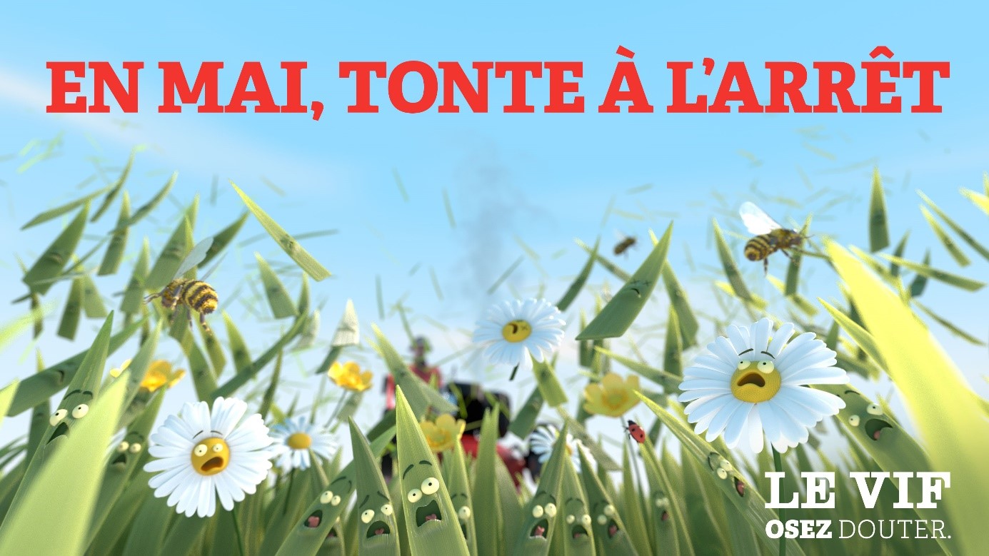 En mai, tonte à l’arrêt